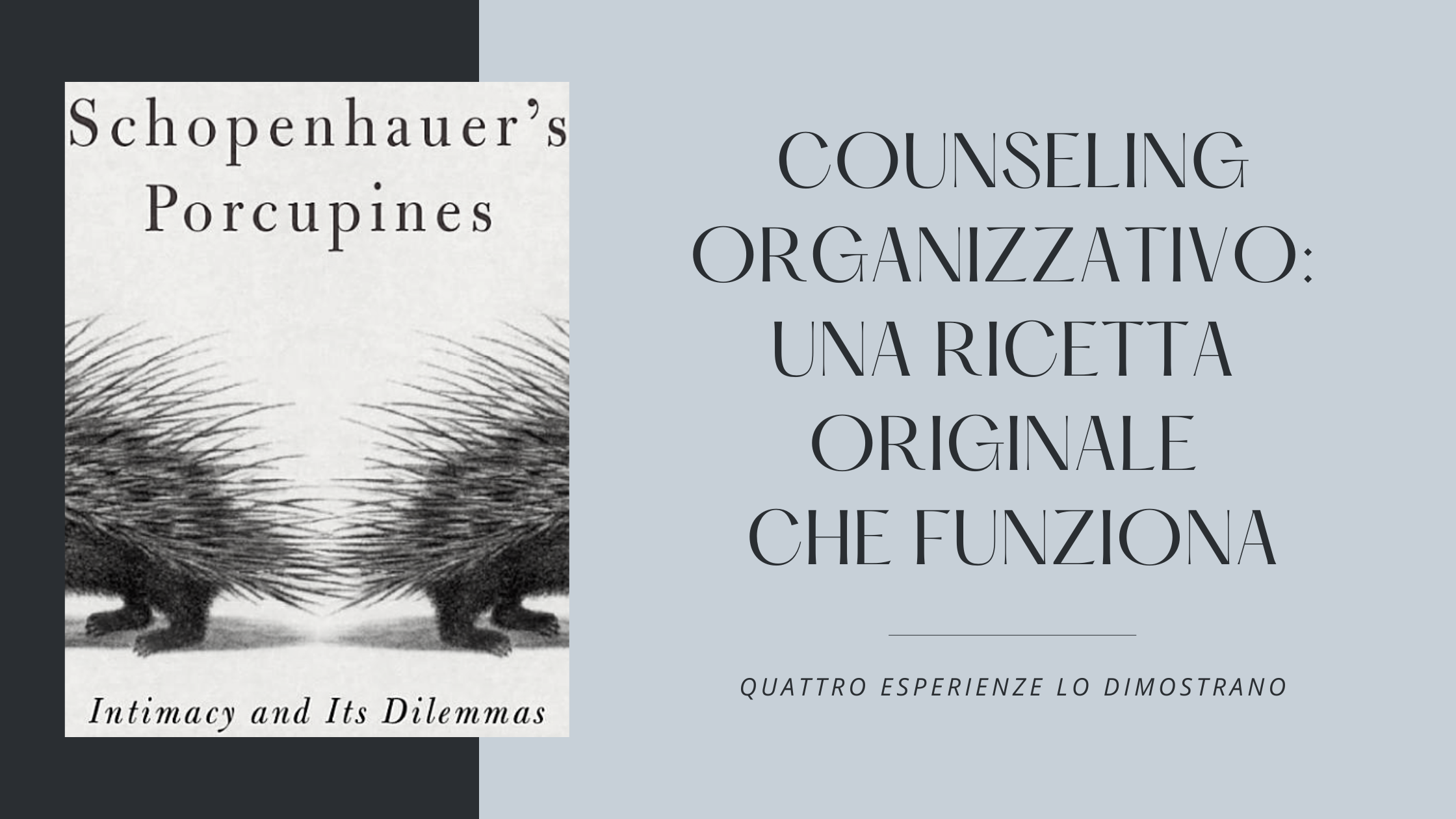 Graziella Nugnes Blog Counseling organizzativo