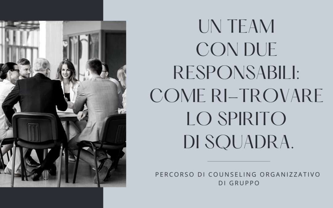 UN TEAM CON DUE RESPONSABILI: COME RI-TROVARE LO SPIRITO DI SQUADRA.