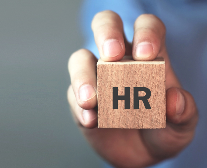 Risorse umane HR e Counseling Organizzativo Risorse umane HR e Counseling Organizzativo